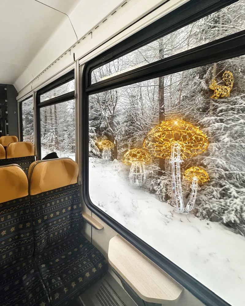 Leuchteichhörnchen – verspielt, elegant & gold leuchtend