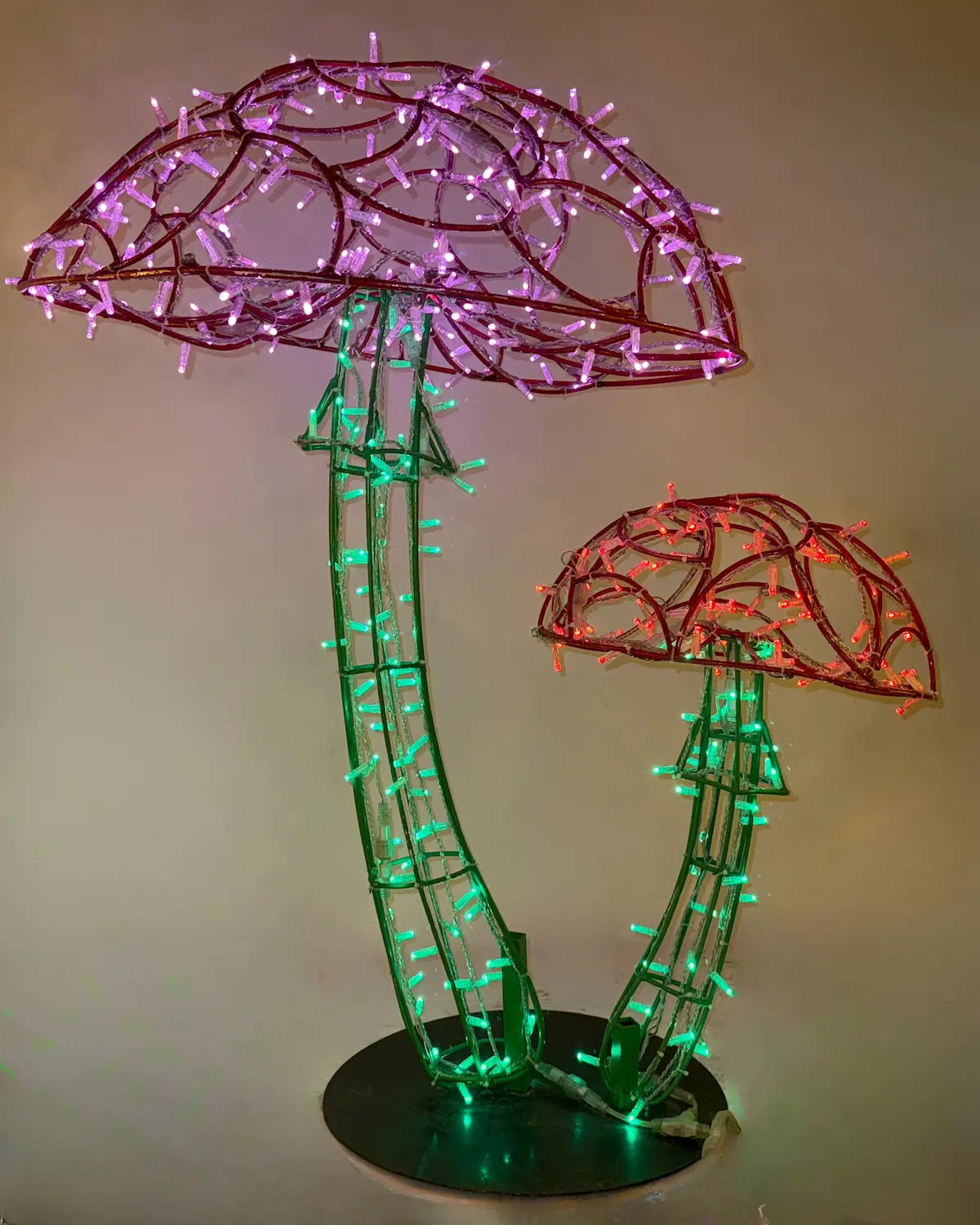 Alganic Leuchtpilze – zwei gewachsene Formen