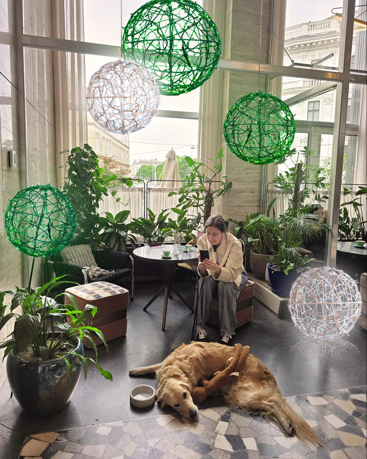 Grüne und weiße Lichtkugeln als Dekoration in einem modernen Indoor-Café mit vielen Pflanzen – entspannte Atmosphäre mit Hund und Gast.