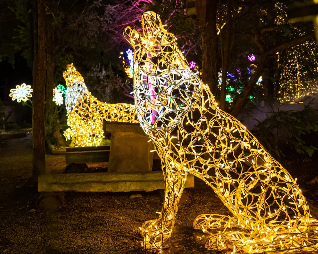 Sitzender Wolf aus Licht – leuchtende Skulptur für winterliche Außenbereiche, handgefertigt aus Aluminium.