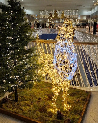 Leuchtobjekt Wolf – kraftvoll & klar